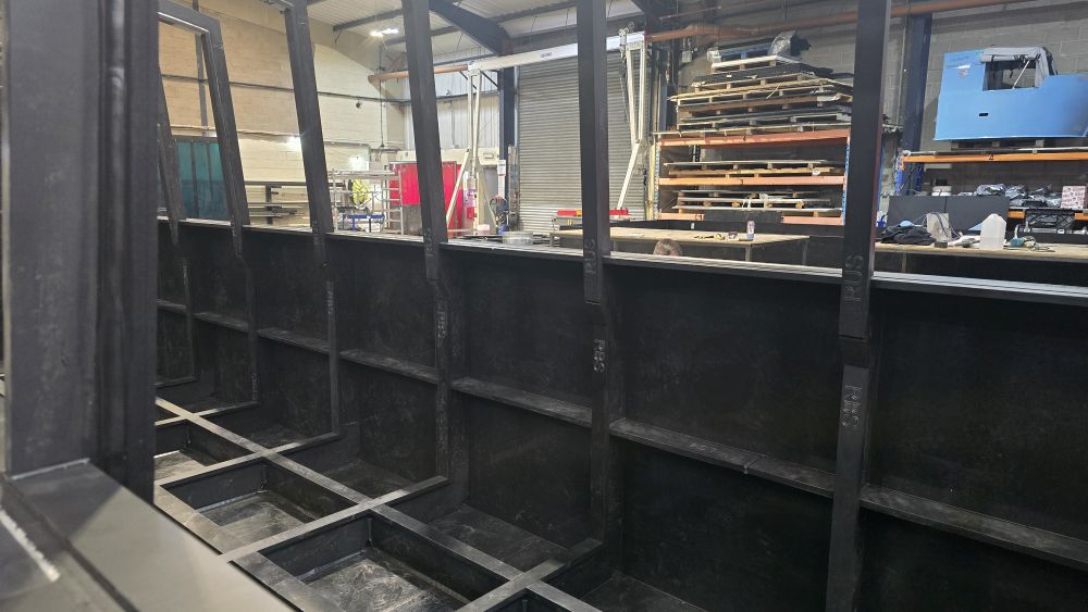 Shell showing the ribs.